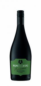 Promosso - Prosecco Treviso DOC frizzante